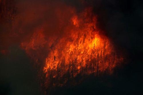 可持续土地管理是减少亚马逊野火的关键