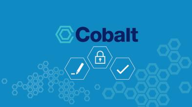 花旗也成为Cobalt FX交易后工具的推出客户之一