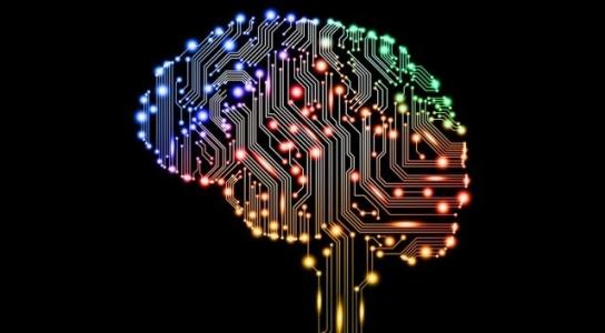 亚马逊推出一项1亿美元的基金 以支持其Echo设备背后的AI大脑