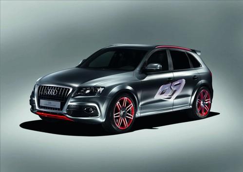 奥迪RS Q5高性能SUV输出功率331kW 2.9TT 