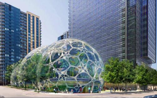 充满植物的球体在西雅图的亚马逊总部开放