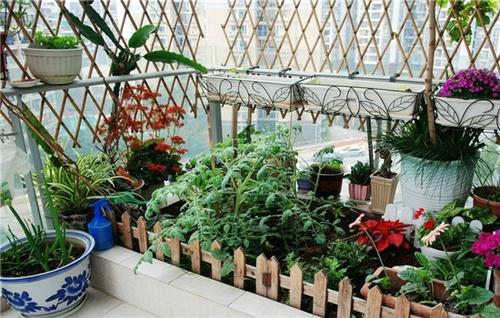 沃通·恩吉亚的平屋的居住空间中布满了种植好的露台