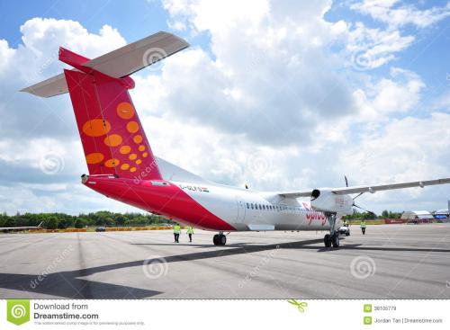 印度国内航空公司SpiceJet引入了移动支付功能同时考虑到乘客的便利性