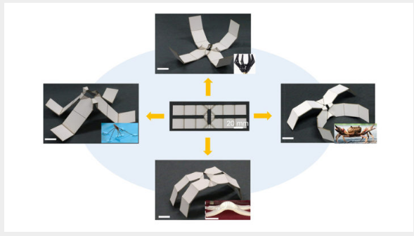 研究人员使用自折叠式折纸超材料制造可重构机器人