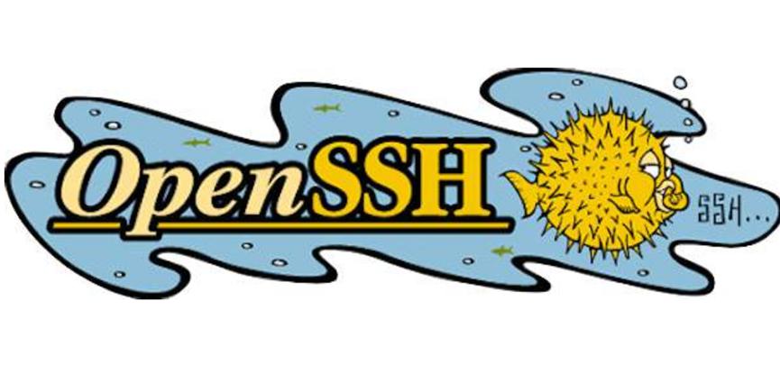 OpenSSH 8.2发布 具有两方面身份验证硬件支持