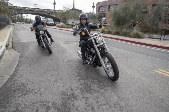 2020 Harley-Davidson Softail Standard是美国双胞胎的入门药物