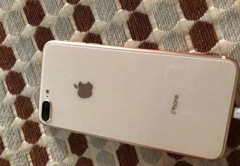 两个月后仍能正常工作的iPhone  8从河中恢复