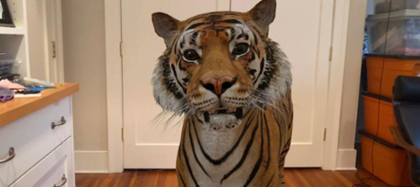 Google的AR动物将您变成家中的老虎王