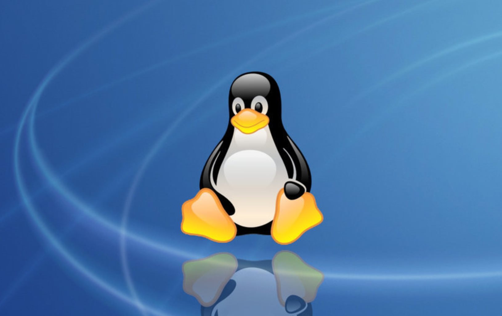 科技资讯:Linus Torvalds宣布大规模Linux内核5.8更新