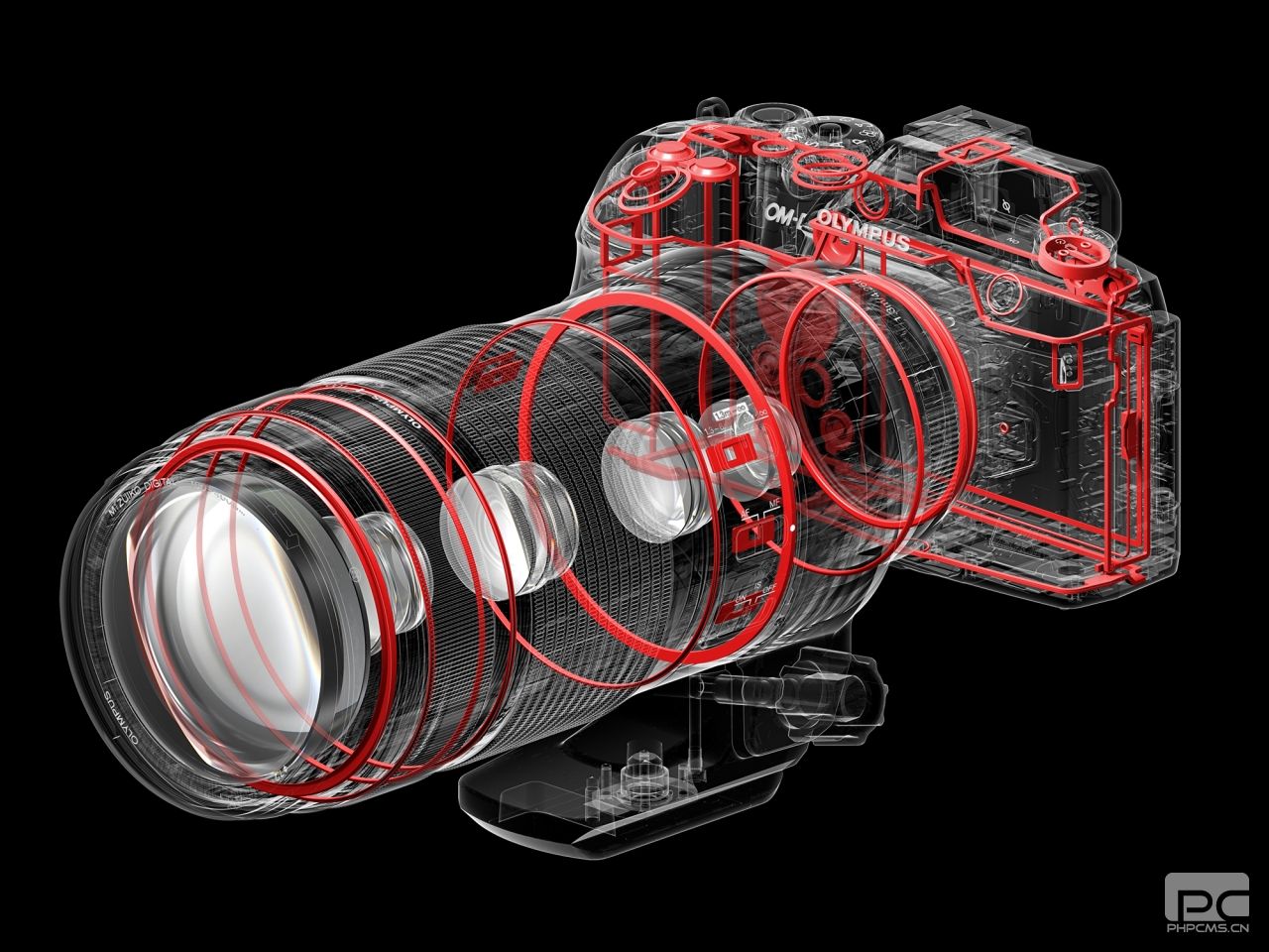 奥林巴斯M.Zuiko 100-400mm F5.0-6.3 IS镜头放大了重要的部分