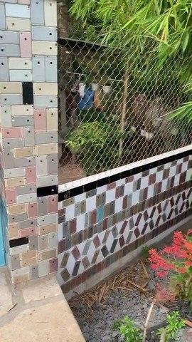越南男子为其房屋建造疯狂的“iPhone围栏”