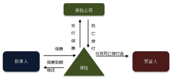 如何选择人寿保险政策以满足您的需求