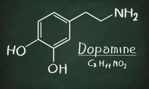 生物学家领导压力的开创性研究