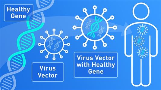 科学家探讨了基因编辑婴儿的伦理和科学危险