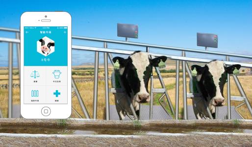 Semtech在农业和智能牧场中使用配备物联网的LoRa设备