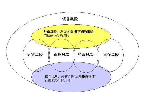 可以为其成员提供多边清算和结算服务以及风险管理服务