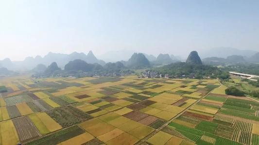 马兰·沃斯特的树屋般的住宅可欣赏开普敦森林的景色