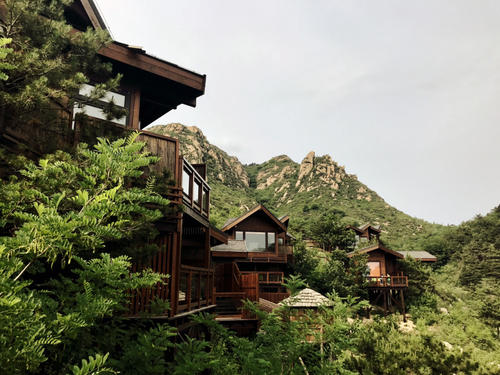 上海建筑事务所Bengo Studio 为黄山的空地设计了旗云山树屋酒店