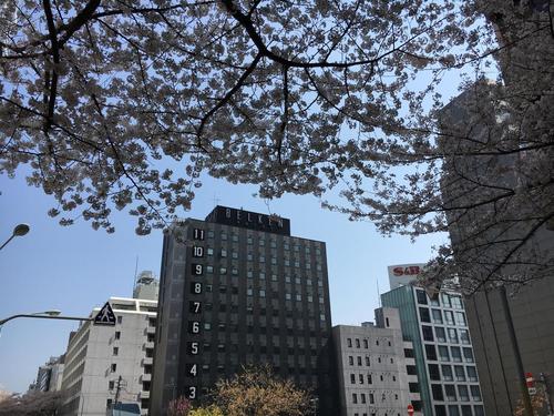 Ken研吾的东京2020年奥林匹克运动场开始建设
