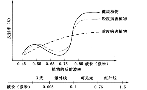 最新的攻击利用了一种称为网络时间协议反射的技术