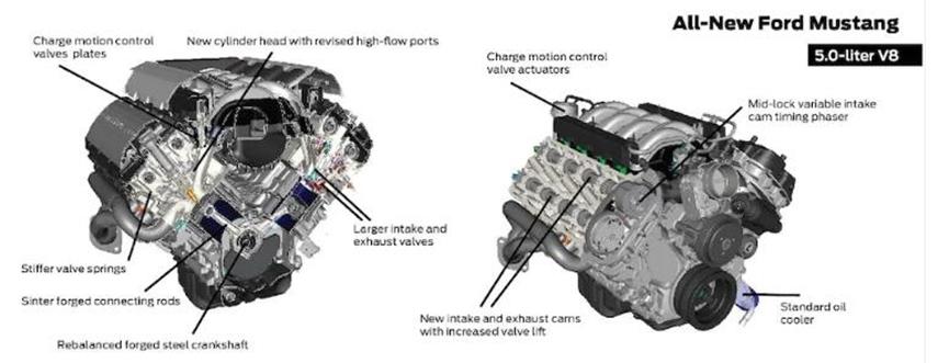 福特澳大利亚公司准备使用5.0升野马V-8打造突击队猛禽