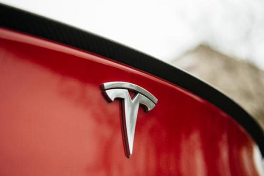 特斯拉在Gigafactory 4综合大楼附近重新种植树木可能比预期的要困难