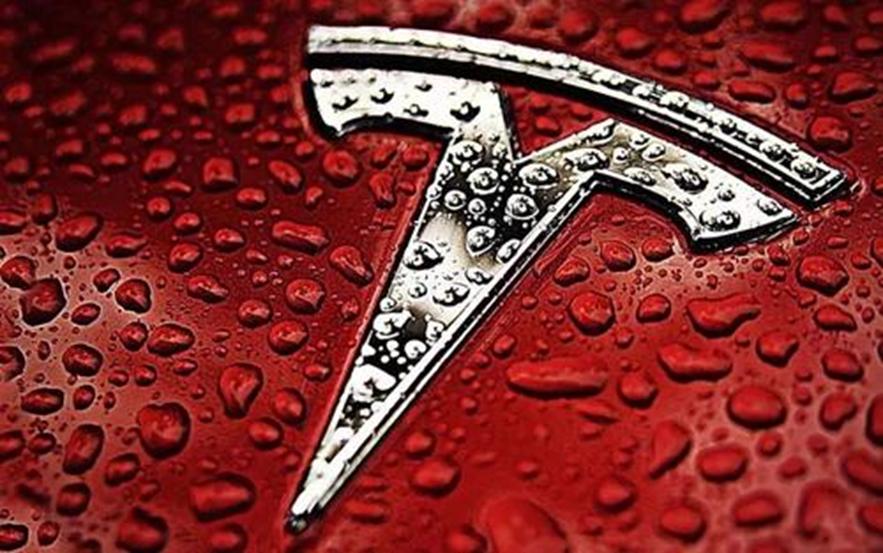 特斯拉在Gigafactory 4综合大楼附近重新种植树木可能比预期的要困难