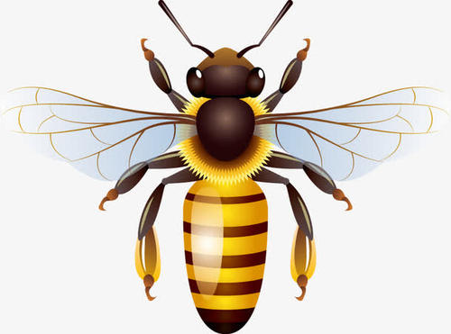 蜜蜂的动作可用于生成能够飞行和游泳的机器人