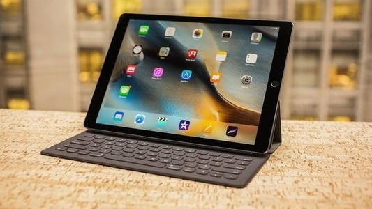 在动物园里猩猩们在玩ipad