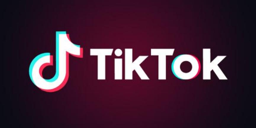 TikTok现在以新的家庭配对品牌正式走向全球