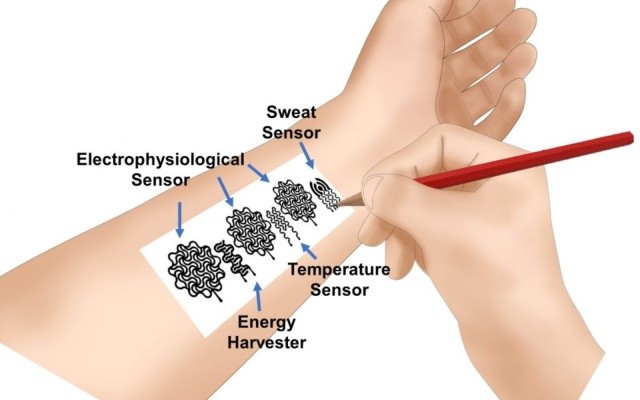 研究人员构建了一种基于铅笔纸的生物特征可穿戴设备，该设备可以监控人体信号