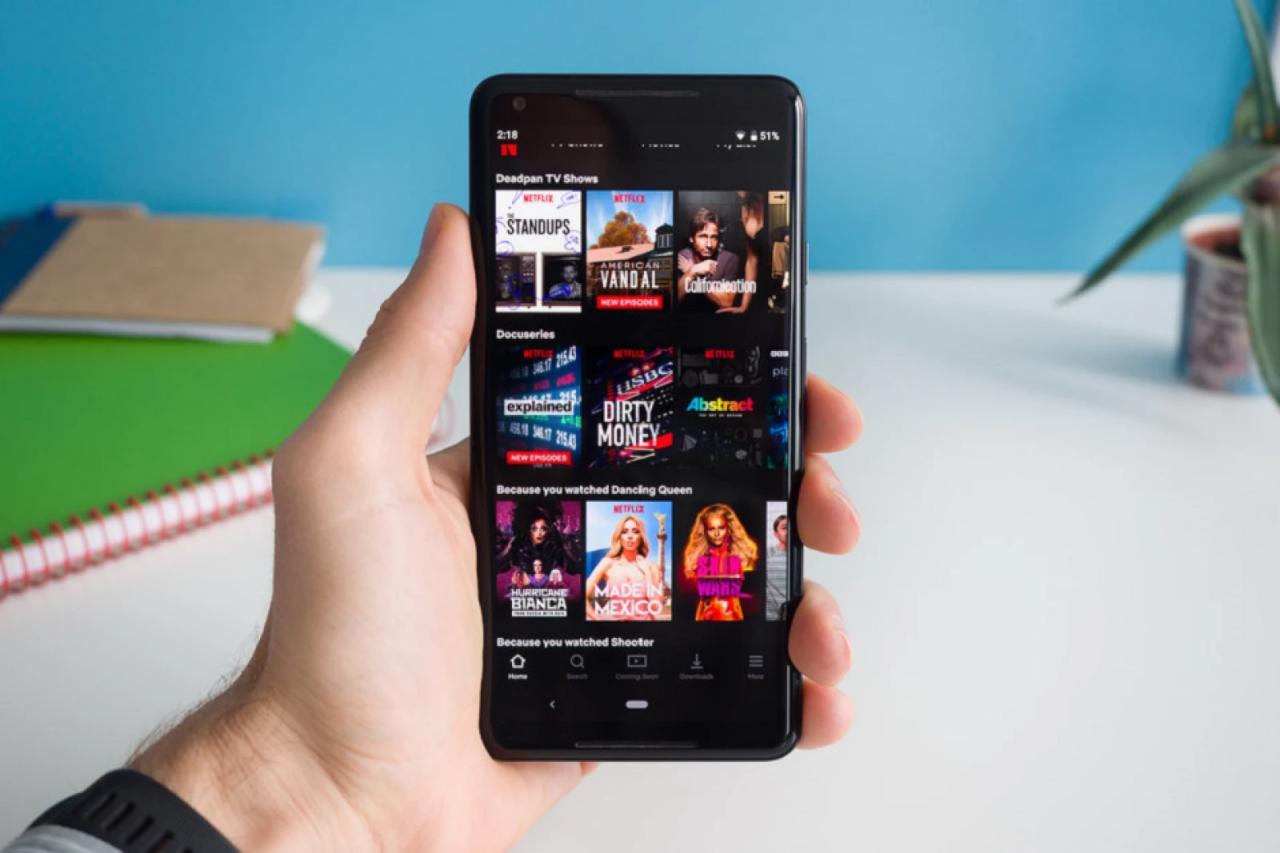 Netflix的更新允许Android用户加快或减慢流内容