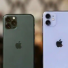 iPhone 11连续四个月成为美国销量最高的智能手机