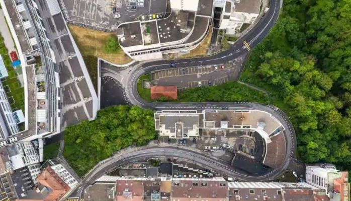 谷歌人工智能平台树冠实验室将帮助城市种植更多的树木