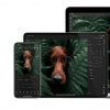 Adobe已为macOS和Windows发布了ARM版本的Lightroom