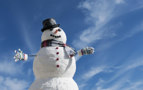 关于可能将雪人错误分类为行人的自动驾驶汽车