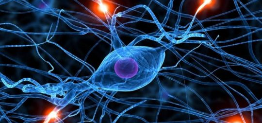 研究使人造神经元的速度提高了10,000倍