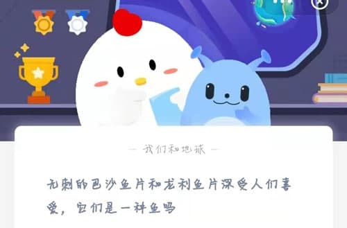 无刺的巴沙鱼片和龙利鱼片深受人们喜爱，它们是一种鱼吗