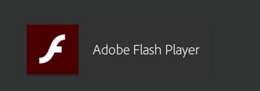 Adobe Flash Player:Windows 10在新的更新中取消了Flash Player