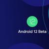TCL  20 pro  5g  Android  12 beta版