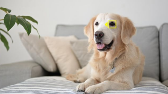 英伟达Rubin倒计时 三星、SK海力士HBM4供应争夺战升级