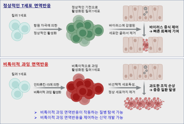 韩国科学家揭晓免疫细胞“失控”之谜 自体攻击难题或攻克