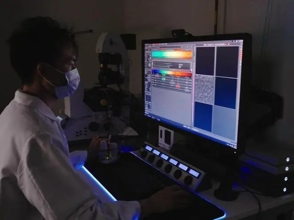 研究人员研究细胞行为