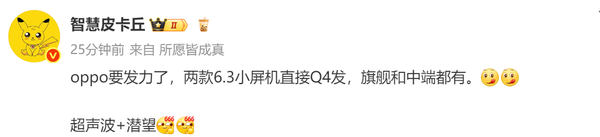 传OPPO年底将发布两款小屏旗舰机 迎战小米和vivo