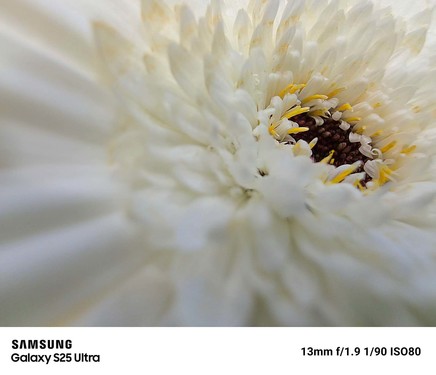 节日如何留下好照片？三星Galaxy S25 Ultra给出高分答案