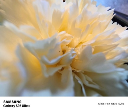 超广角微距样片