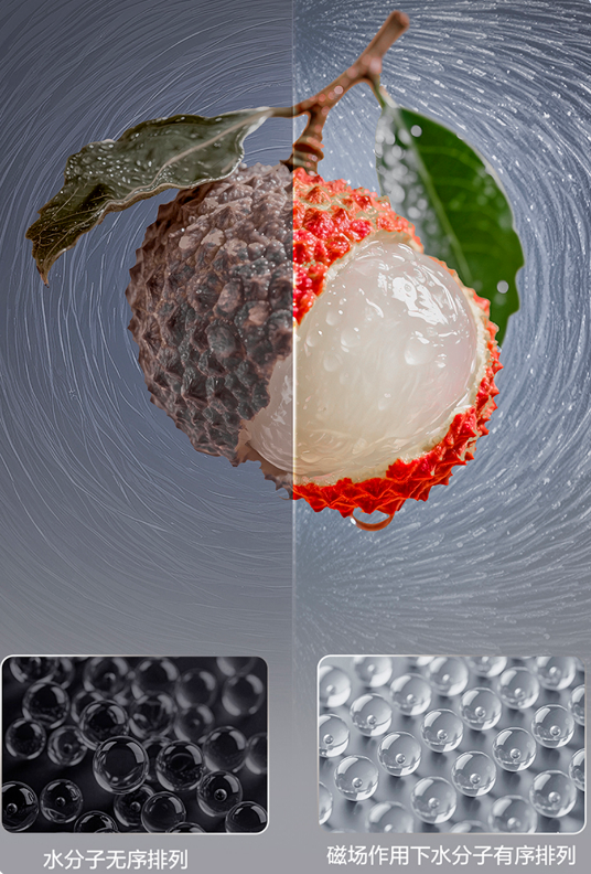 不逐热点，只造热点：TCL 冰箱以技术之力引领行业变革