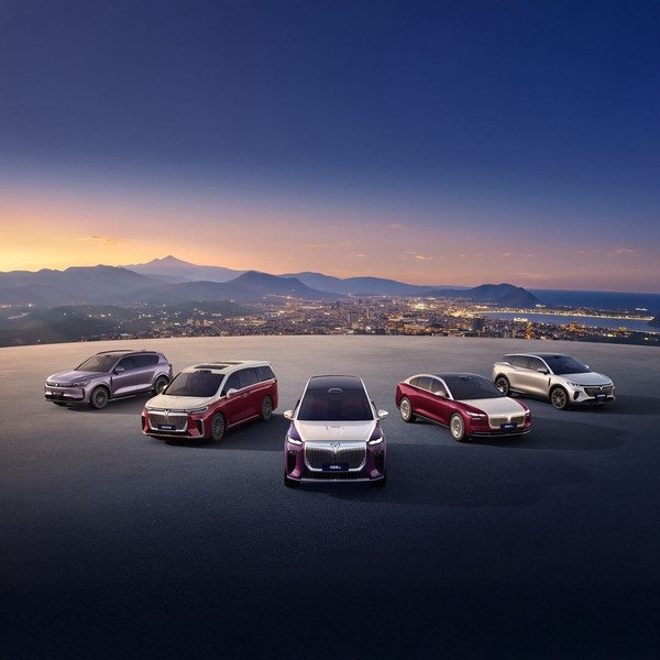 岚图汽车1-10月车型详细销量:梦想家与Free占比超70%