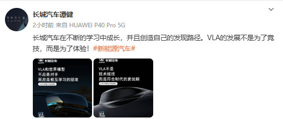 长城汽车谭健：VLA的发展不是为了竞技 而是为了体验