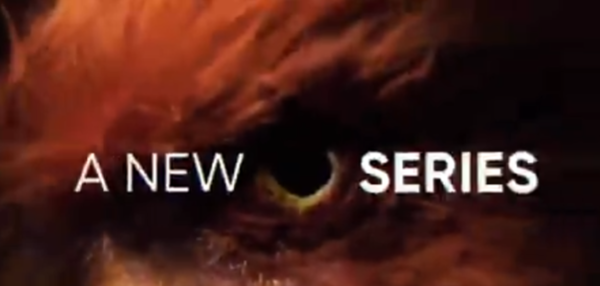 早报：realme将发新系列机型 特斯拉将推出自驾出租车